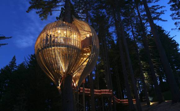 1 Yellow Treehouse, Nueva Zelanda, Pacific Environments